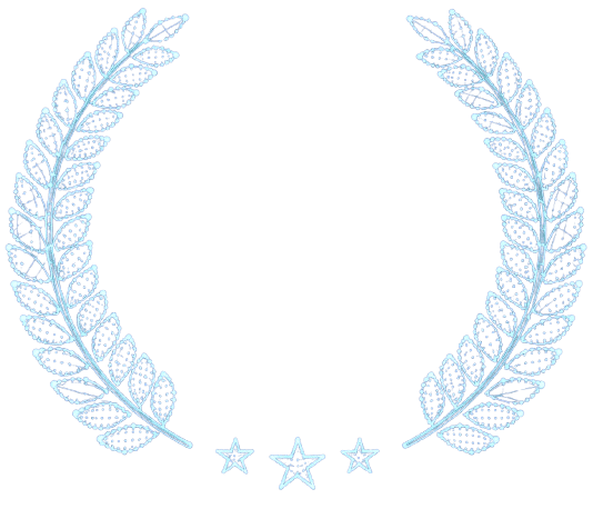 Overall alumni experience rating
